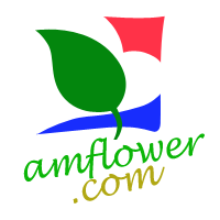 amflower